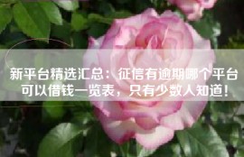 新平台精选汇总：征信有逾期哪个平台可以借钱一览表，只有少数人知道！