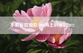 不看征信借款5000马上到账的2022