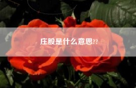 庄股是什么意思??