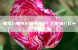 期货和期权在哪里开户？期货和期权开户流程一览
