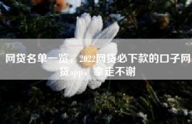 网贷名单一览，2022网贷必下款的口子网贷app，拿走不谢
