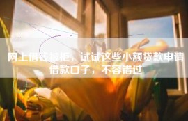 网上借钱被拒，试试这些小额贷款申请借款口子，不容错过