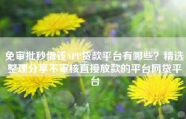 免审批秒借钱APP贷款平台有哪些？精选整理分享不审核直接放款的平台网贷平台