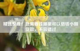 精选整理！急需要钱哪里可以借钱小额贷款，不容错过
