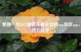 整理一份2022借钱不看征信的app贷款app，简云分享！