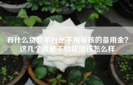 有什么贷款平台是不用审核的备用金？这几个就是不愁花借钱怎么样