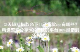 30天短期借款必下口子贷款app有哪些？精选整理分享20岁借钱的平台100%能借到贷款平台