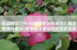 最新网贷口子2022借款平台有哪些？精选整理分享2022免审核不看征信的贷款贷款