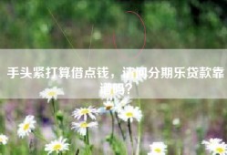 手头紧打算借点钱，请问分期乐贷款靠谱吗？