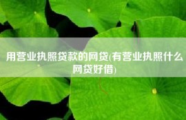 用营业执照贷款的网贷(有营业执照什么网贷好借)
