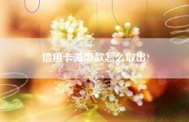 信用卡溢缴款怎么取出?