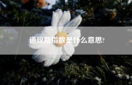 道琼斯指数是什么意思?