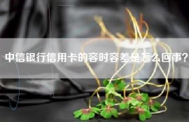 中信银行信用卡的容时容差是怎么回事？