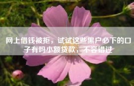 网上借钱被拒，试试这些黑户必下的口子有吗小额贷款，不容错过