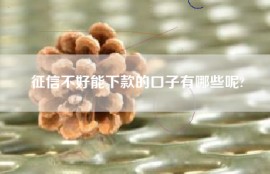 征信不好能下款的口子有哪些呢?