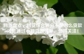网贷盘点，网贷综合评分不足怎么贷款才能通过小额贷款名单，值得关注！