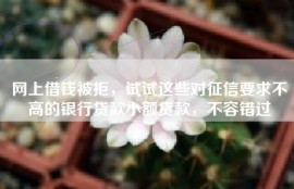 网上借钱被拒，试试这些对征信要求不高的银行贷款小额贷款，不容错过