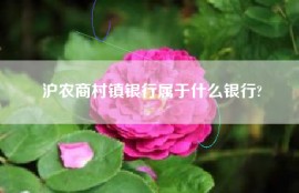 沪农商村镇银行属于什么银行?