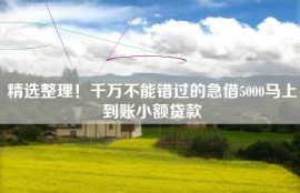 精选整理！千万不能错过的急借5000马上到账小额贷款