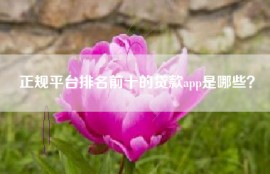 正规平台排名前十的贷款app是哪些？