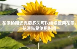 花呗逾期还完后多久可以继续使用花呗，花呗恢复使用时间