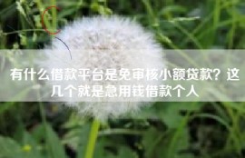有什么借款平台是免审核小额贷款？这几个就是急用钱借款个人