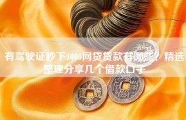 有驾驶证秒下1000网贷贷款有哪些？精选整理分享几个借款口子