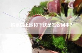 股票的上涨和下跌是怎么回事？