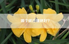哪个银行理财好？