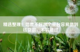 精选整理！信誉不好哪个平台容易借到钱贷款，不容错过