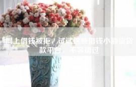 网上借钱被拒，试试这些借钱小额贷贷款平台，不容错过