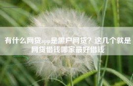 有什么网贷app是黑户网贷？这几个就是网贷借钱哪家最好借钱