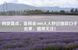 网贷盘点，备用金1000人人秒过借款口子名单，值得关注！
