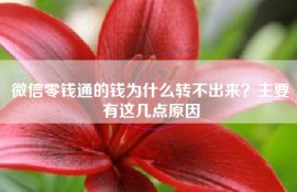 微信零钱通的钱为什么转不出来？主要有这几点原因