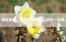精选整理，包下款的借钱app贷款一览表，拿走不谢
