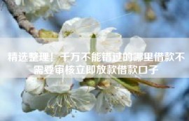 精选整理！千万不能错过的哪里借款不需要审核立即放款借款口子