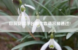 目前贷款平台哪个靠谱容易通过?