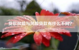 贷款风险与风险贷款有什么不同？