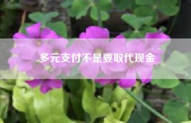 多元支付不是要取代现金