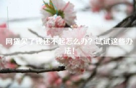 网贷欠了钱还不起怎么办？试试这些办法！