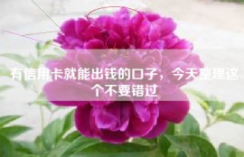 有信用卡就能出钱的口子，今天整理这个不要错过