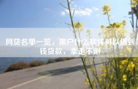 网贷名单一览，黑户什么软件可以借到钱贷款，拿走不谢