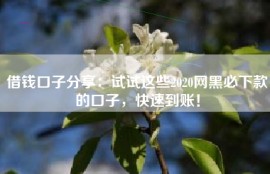 借钱口子分享：试试这些2020网黑必下款的口子，快速到账！
