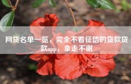 网贷名单一览，完全不看征信的贷款贷款app，拿走不谢