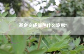 基金变成绿色什么意思?