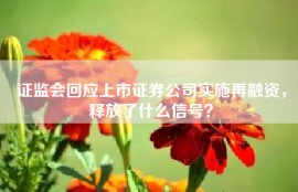 证监会回应上市证券公司实施再融资，释放了什么信号？