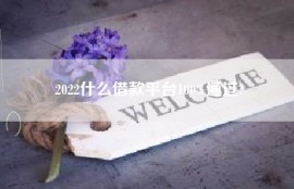 2022什么借款平台100%通过?