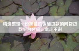 精选整理一份黑征信也能贷款的网贷贷款平台名单，拿走不谢