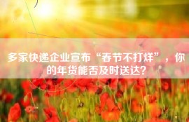 多家快递企业宣布“春节不打烊”，你的年货能否及时送达？