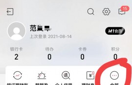 征信怎么查。怀疑儿子网络赌博，怎么查他的征信？